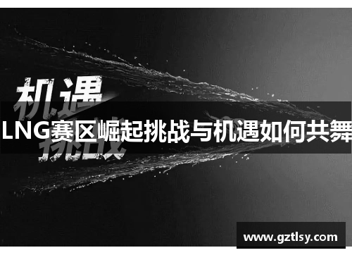 LNG赛区崛起挑战与机遇如何共舞