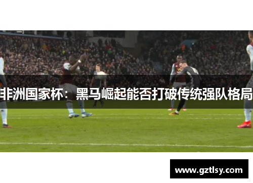 非洲国家杯：黑马崛起能否打破传统强队格局